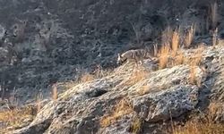 Adıyaman’da uyarılar yapılıyordu: Sonunda görüldü