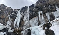 Buza dönen şelale İsveç'te Norveç'te değil Hakkari’de!