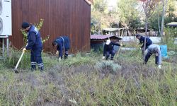 Diyarbakır Büyükşehir’e devredilmişti! Çalışma başlatıldı