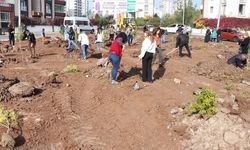 Diyarbakır Kayapınar'da kadınlar nar ağacı dikti! İşte sebebi