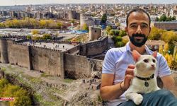 Diyarbakır’da böyle hayvan dostu görülmedi!