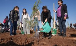 Diyarbakır’da kadınlar fidan dikti