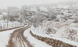 Diyarbakır'ın ilçesi beyaza büründü: Yollar kapandı