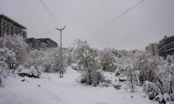 Şırnak ve Van’da yüzlerce köy ve mahalle yolu ulaşıma kapandı