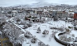 Malatya'da kar yağışı görsel şölen sundu!