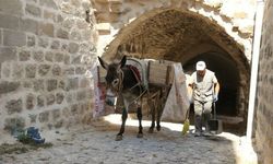 Mardin’de tarihi karar! Eşekler artık çalışmayacak