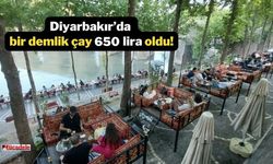 Diyarbakır’da bir demlik çay 650 lira oldu!