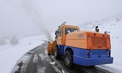 Kar yağışı Bingöl’de yolları kapadı: 130 köy yolu açıldı!