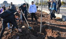 Diyarbakır Bağlara yeni park! İsmini halk belirleyecek