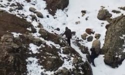 Tunceli'de kapandılar: Yine de milyonluk cezadan kurtulamadılar!