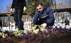 Diyarbakır Bismil’in çehresi değişiyor