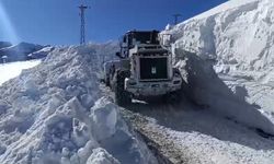 Kar kalınlığı 3 metreyi geçti, Diyarbakır hasret kaldı