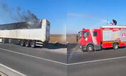 Urfa - Diyarbakır yolunda TIR yangını