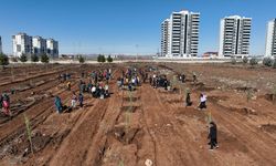 Diyarbakır Büyükşehir öğrencilerle el ele verdi, 135 fidan dikti!