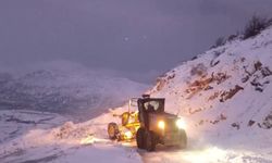 Diyarbakır Kulp ve Hani'de kardan dolayı kapanan yollar açıldı