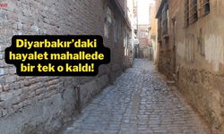 Diyarbakır’daki hayalet mahallede bir tek o kaldı!