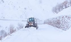 Diyarbakır’ın 3 ilçesinde karla kaplı 165 kilometre yol ulaşıma açıldı