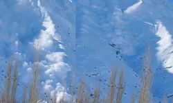 Hakkari’de çığ düştü! Saniye saniye görüntülendi