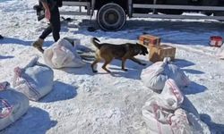 Hakkari'de kargo ile göndermişler: 6 çuval böyle yakalandı