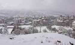 Diyarbakır’da hangi ilçelere kar yağdı?