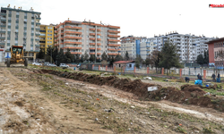 Mücadele yazdı, Belediye kolları sıvadı: Vatandaş memnun kaldı!