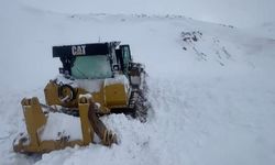 Şırnak’ta köy yolunu açmaya çalışırken çığ altında kaldı!