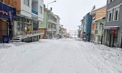 Tunceli’yi kar sarıp sarmaladı: Çok sayıda köy ulaşıma kapandı!