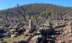 Diyarbakır’da bir komutanın türbesi: Mir Badin kimdir?