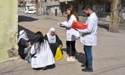 Diyarbakır’da sokak sokak gezerek tarama yapıyorlar!