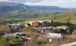 Diyarbakır’daki kavgada ölenlerin isimleri belli oldu!