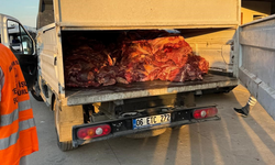 Adana’da 3 ton eşek ve at eti ele geçirildi!