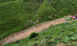 Bitlis: Hazırlıklar tamam, arıcılar sezona hazır
