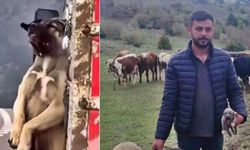 Büyük tepki çekmişti: Gerçek başka çıktı!