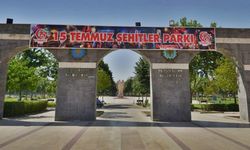 Diyarbakır’da ağaçlara zarar verildi: TEMA’dan açıklama!