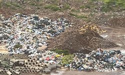 Diyarbakır’da çöpler şehrin merkezine döküldü: Tepki geldi!