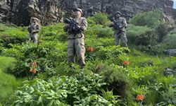 Diyarbakır’da da ortaya çıkıyor: Hakkari’de koruma altında