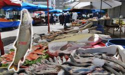 Diyarbakır’da dev balık tezgâhta: Tam 22 kilo, işte fiyatı!