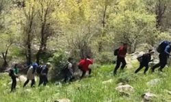 Diyarbakır’da doğa yürüyüşünde ortaya çıktı: Çığlık attılar!