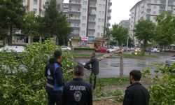 Diyarbakır’da etkili olan fırtına yüzlerce ağacı kırdı!