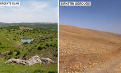 Diyarbakır’da GES için sahte fotoğraf kullanıldı: Baro harekete geçti!