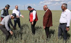 Diyarbakır’da kuraklık kendini gösterdi: Destek çağrısı