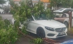 Diyarbakır’da yağmur etkili oldu: lüks otomobil ağaç altında kaldı!