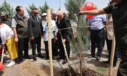 Diyarbakır’da yeni orman oluşturuldu: Vali de katıldı