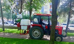 Havalar ısınıyor: Diyarbakır’da parklar yaza hazırlanıyor