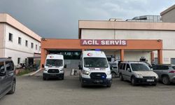 Iğdır'da iki yengesini vurdu: Ermenistan sınırında yakalandı