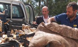 Kaçak avladığı 700 kilo sazana el konuldu: Para cezası yedi!