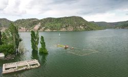 Kars'ta baraj kapakları kapatıldı, köy sular altında kaldı