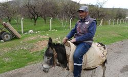Malatya’da bir çiftçi eşeği Kadife’ye gözü gibi bakıyor!