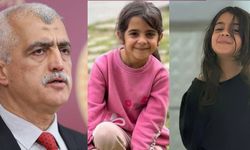 DEM Partili Gergerlioğlu’ndan Narin açıklaması: 'Anne ve abi değil..."