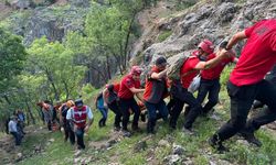 Tunceli'de tarihi kaleyi gezmeye gitti: Uçurumdan düşerek hayatını kaybetti